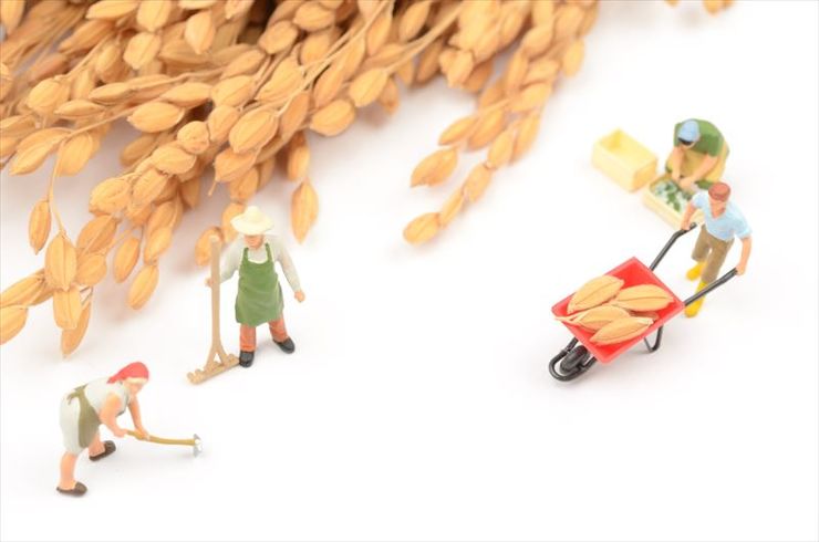 pixta_16877574_M_R540